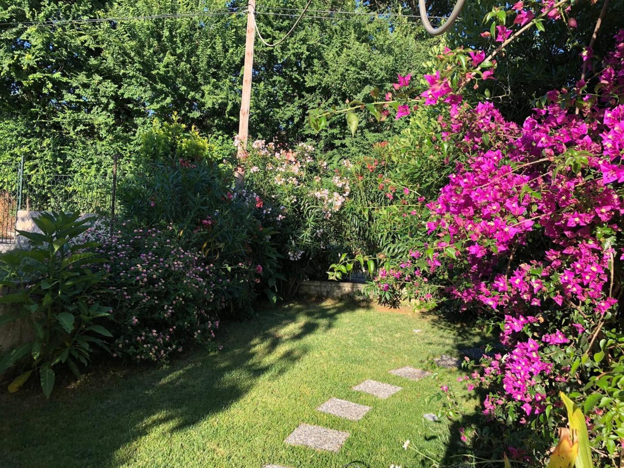 2 Bedroom Spacious Garden Apartment Kanoni (Corfu)