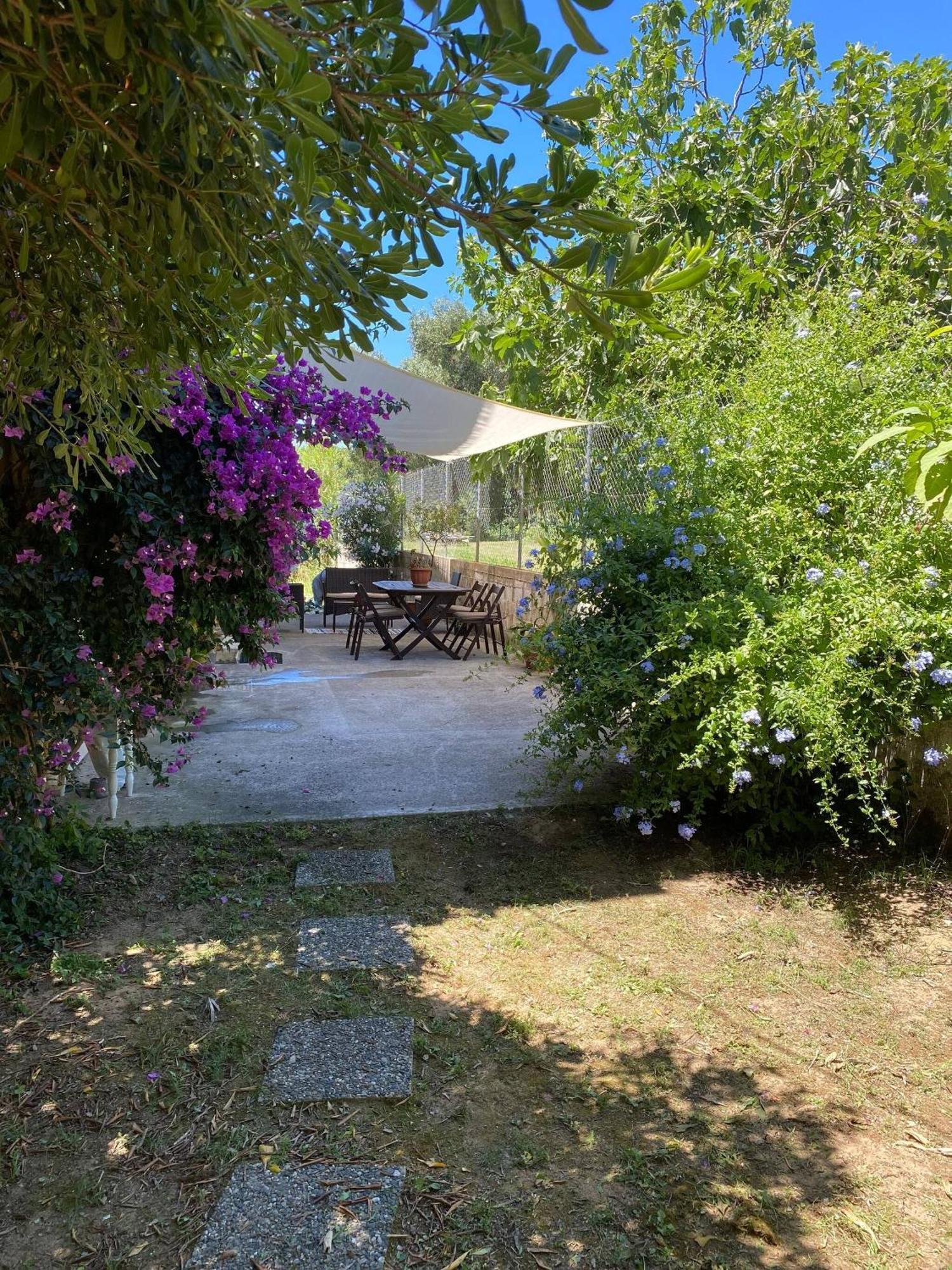 2 Bedroom Spacious Garden Apartment Kanoni (Corfu)
