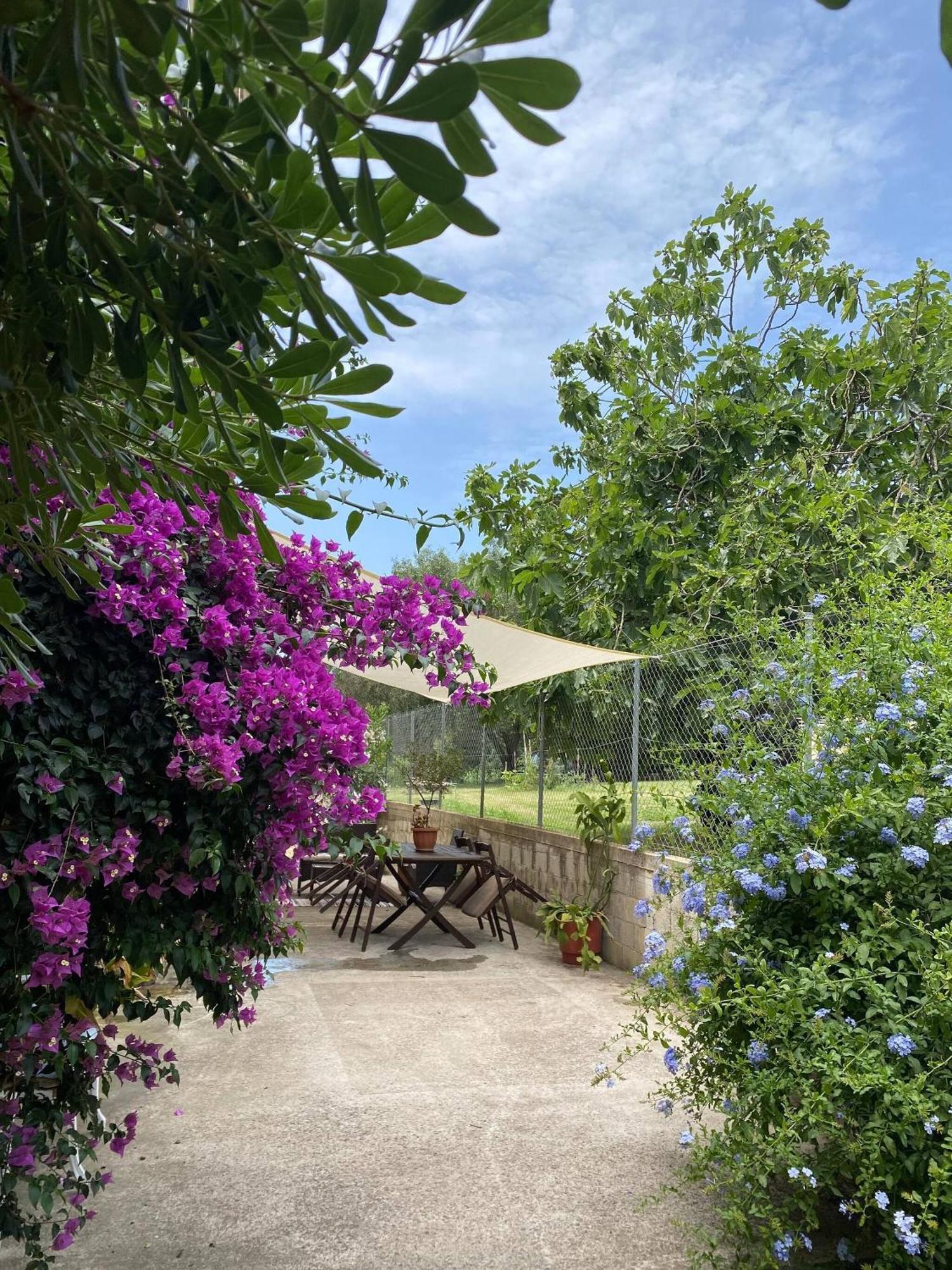 Apartment 2 Bedroom Spacious Garden